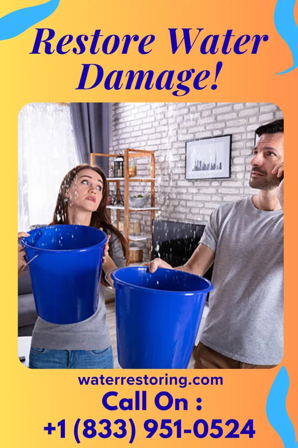 water restoration Platinum Restoration Brothers Marine City