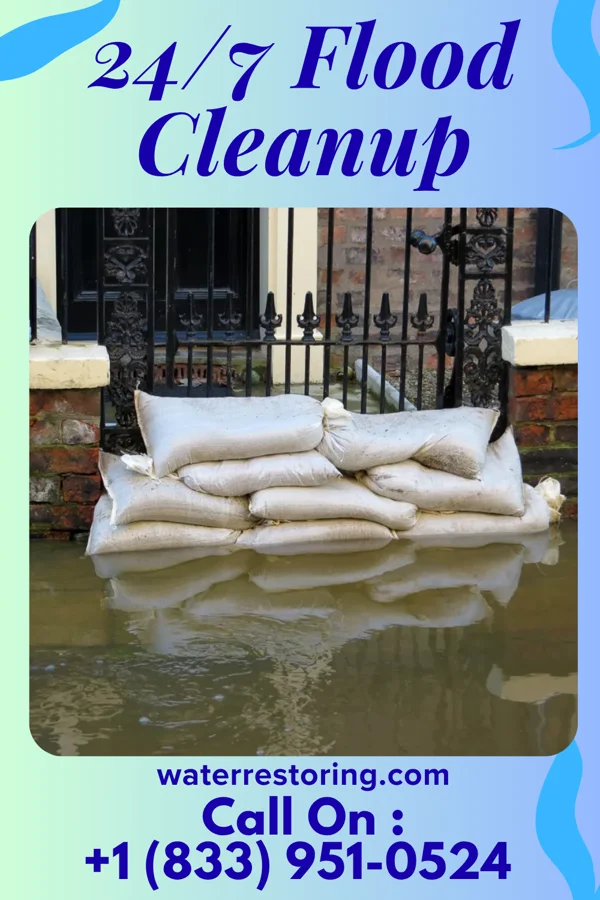 24/7 Flood Cleanup in Marine City, MI