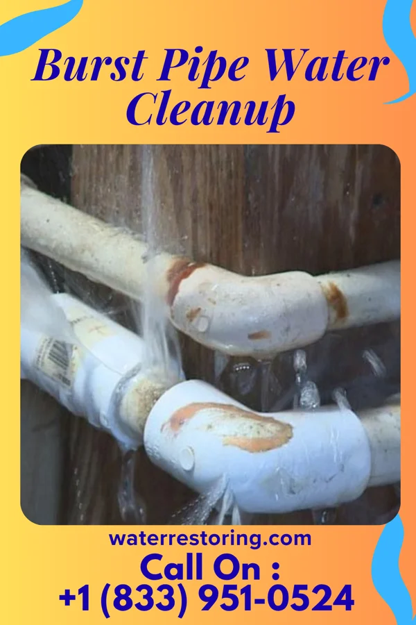 Burst Pipe Water Cleanup in Marine City, MI