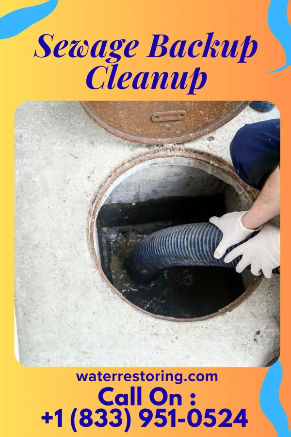 Sewage Backup Cleanup in Marine City, MI