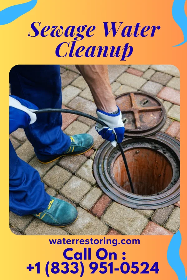 Sewage Water Cleanup in Marine City, MI