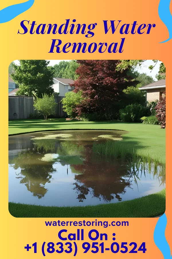 Standing Water Removal in Marine City, MI